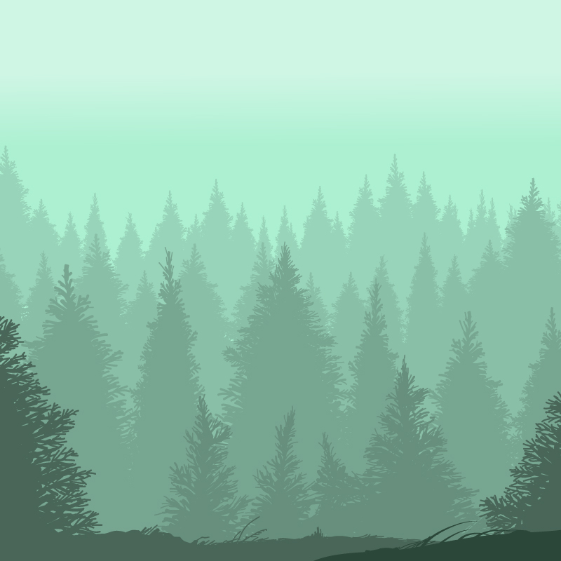 Foret