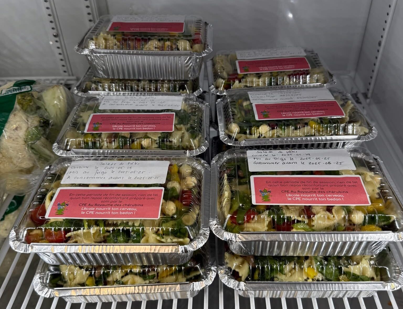 CPE Au royaume des chérubins1_2024-2025