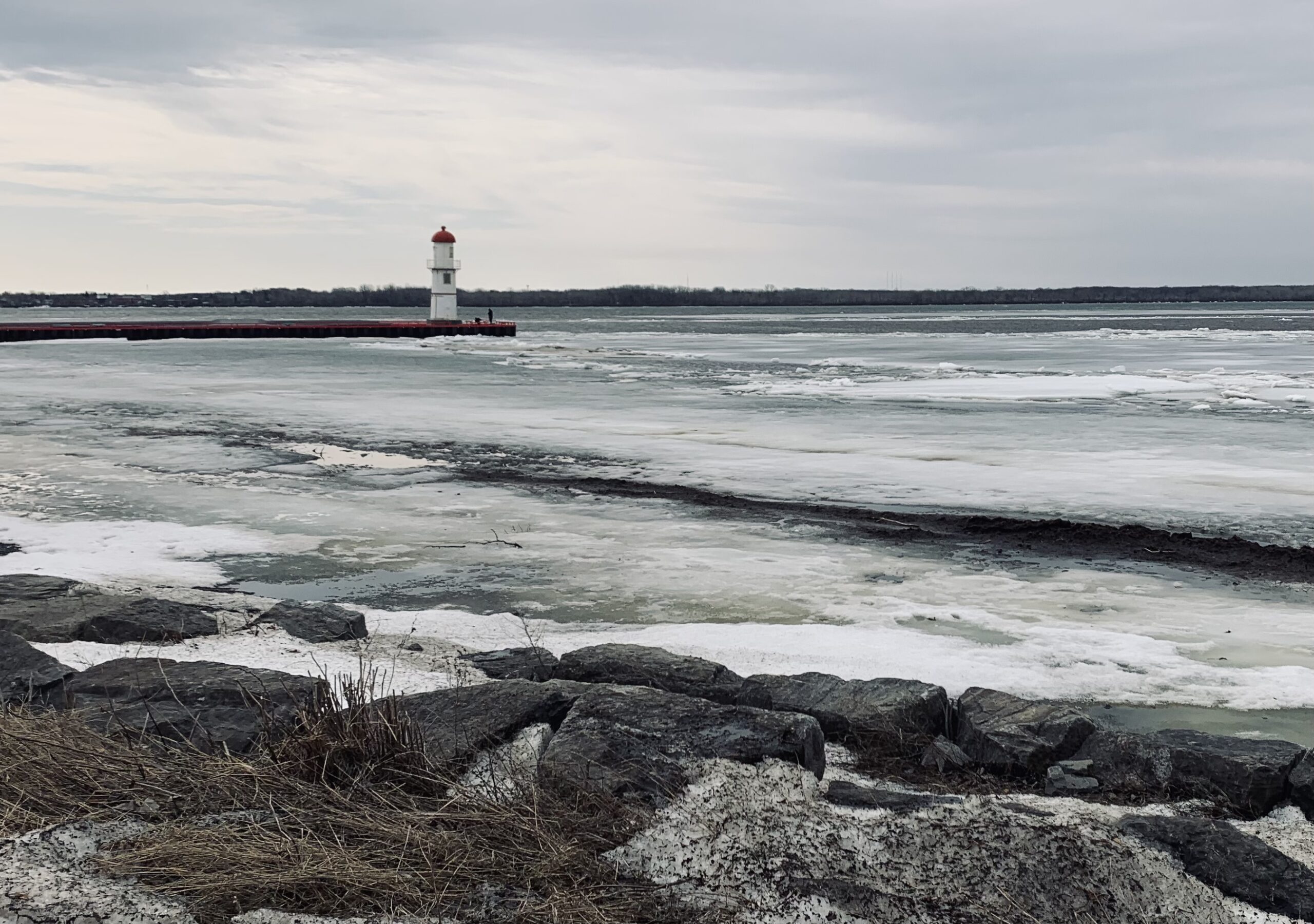 Concours de photographie de la faune et de la flore du canal Lachine au Collégial international Sainte-Anne