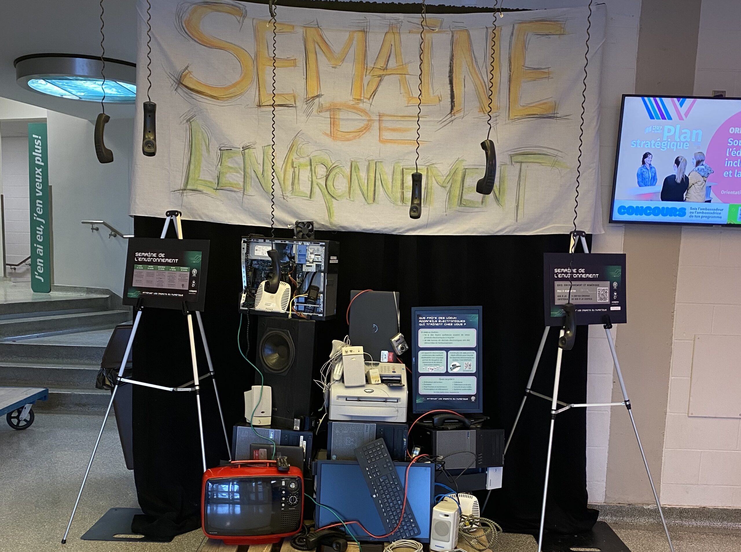 L’environnement et le numérique: entre créativité, science et engagement au Cégep de Granby